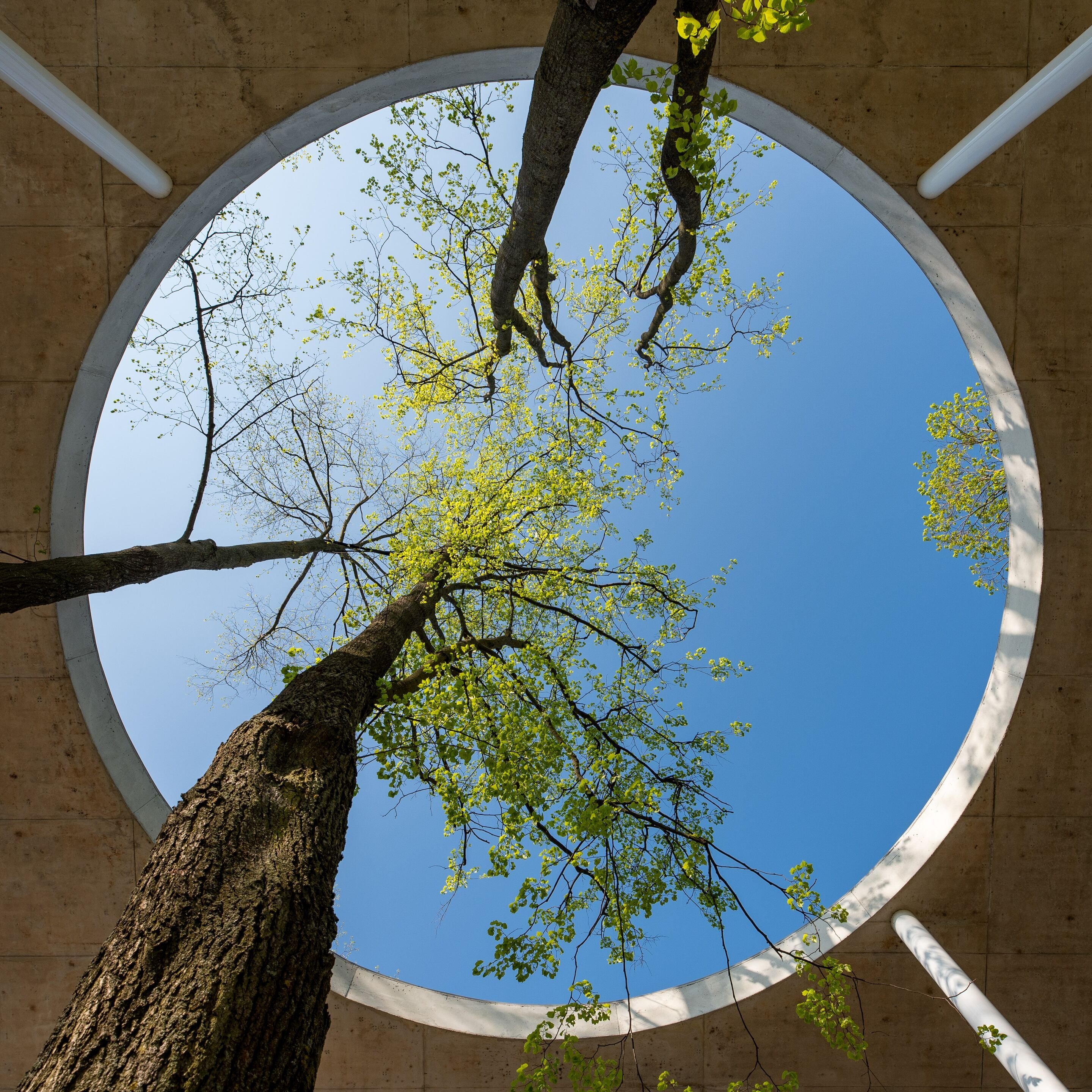 Web_Retina-AdobeStock_422117203