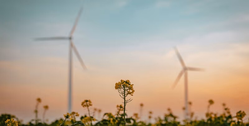 webimage-CTC-Windmills